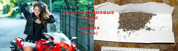 гидра Абдулино