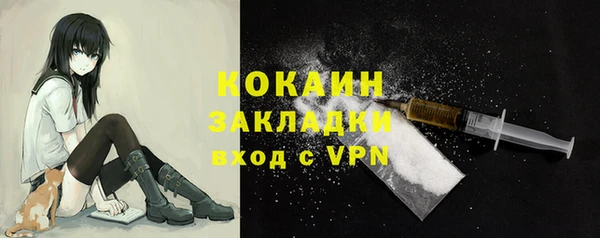 стаф Алексин