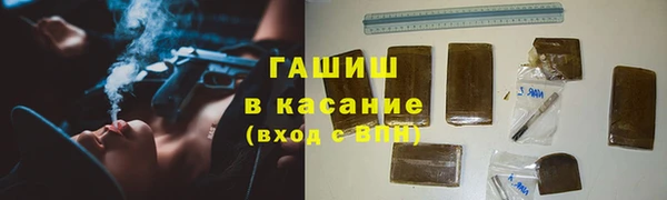 стаф Алексин