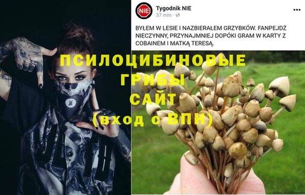 кокс Абинск