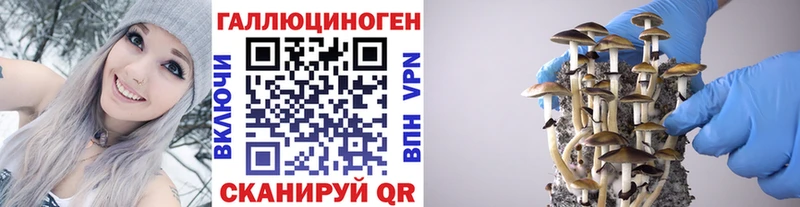 mega рабочий сайт  Плавск  Псилоцибиновые грибы GOLDEN TEACHER 